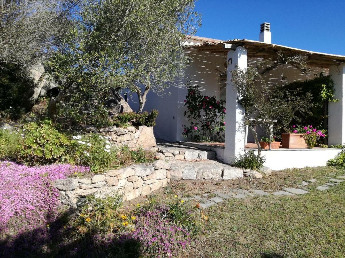 Отель Agriturismo La Valletta Санта-Тереза-Галлура Экстерьер фото